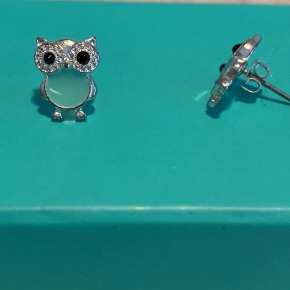 Turquoise Owl pierced earrings - Picture 2 of 3